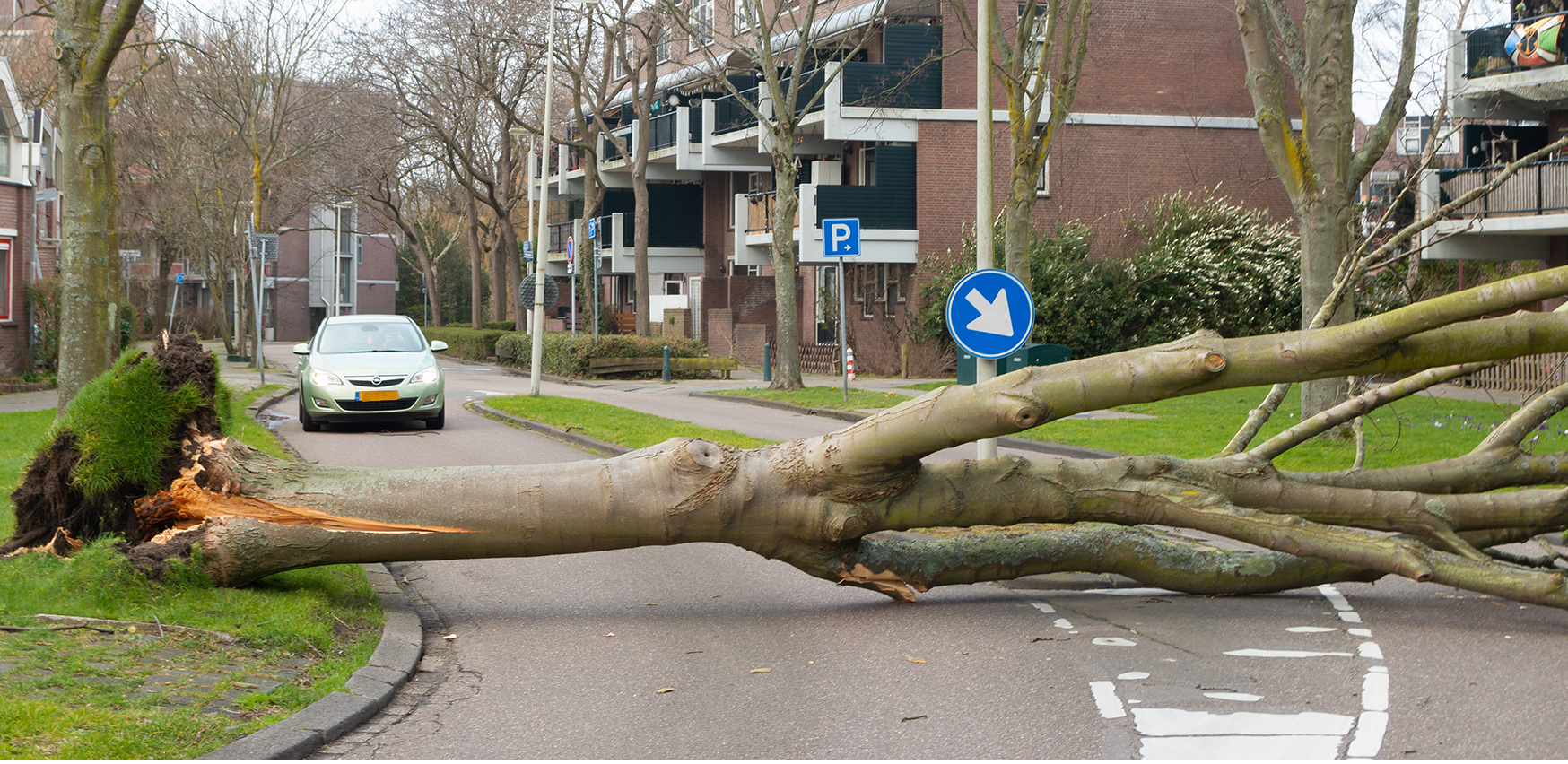 Hero blog Fixi storm boom 2